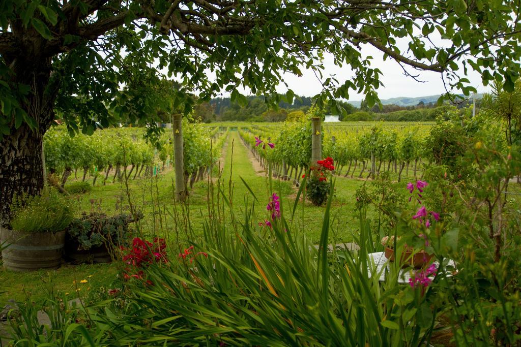 Margrain Vineyard Villas Martinborough Esterno foto